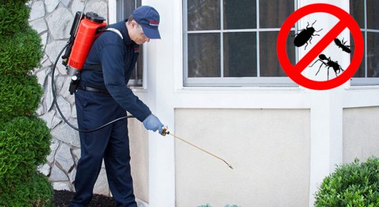 Çamaş Böcek ve Haşere İlaçlama böcek ilaçlama ve haşere kontrolü — ilaclama-tr.com